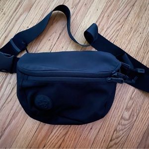 Baboon to the Moon 3L Fanny Pack